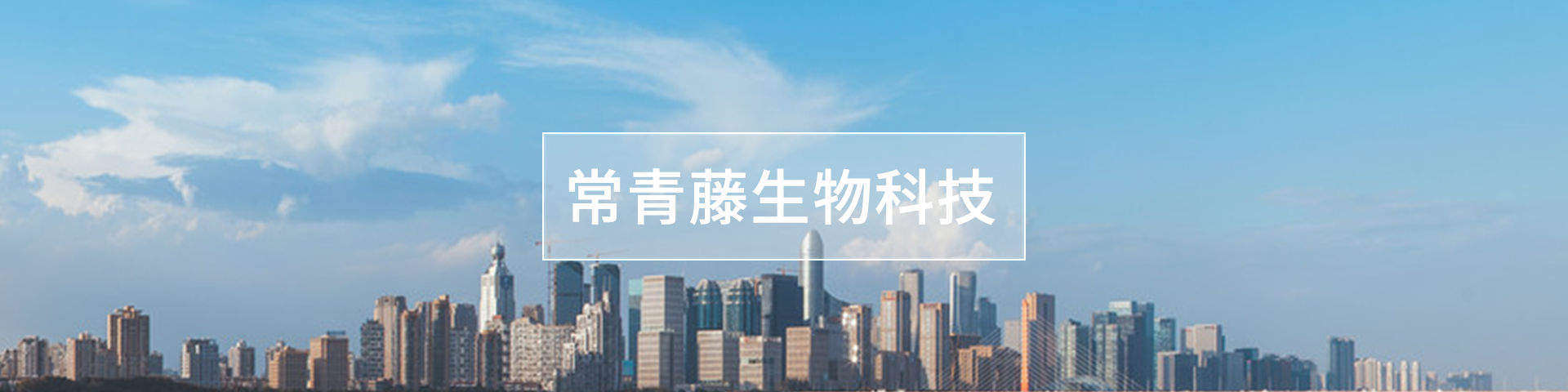 葡萄藍(lán)莓粉代理,葡萄藍(lán)莓粉加盟