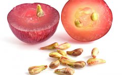 如何挑選靠譜的葡萄籽粉oem代加工廠家(葡萄籽oem代工廠哪家好)